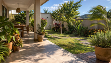 Área externa residencial com jardim ensolarado, varanda parcialmente coberta e vasos em diferentes condições de exposição.