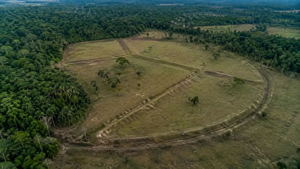 Geoglifo amazônico formado por fossos e aterros geométricos