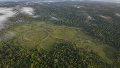 Geoglifos escondidos sob a Floresta Amazônica revelados em levantamento aéreo