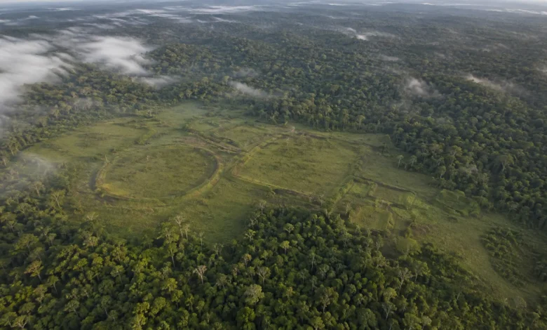 Geoglifos escondidos sob a Floresta Amazônica revelados em levantamento aéreo